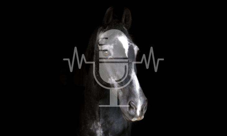 Sanoanimal Podcast #11 Mein altes Pferd hat abgenommen – was kann ich tun?