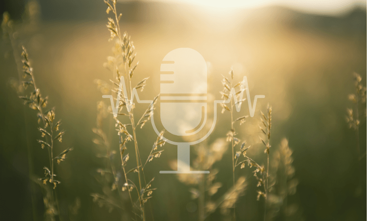 Sanoanimal Podcast #15 Weidepflege