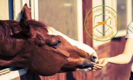 Ausbildung zum Sanoanimal Ernährungsberater Pferd