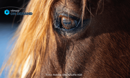 ONLINE LECTURE Equine Cushing Syndrome – Alternative Approaches In Horse Treatment