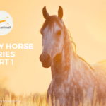 HEALTHY HORSE SERIES PT. 1/3 – Feeding Horses Fit