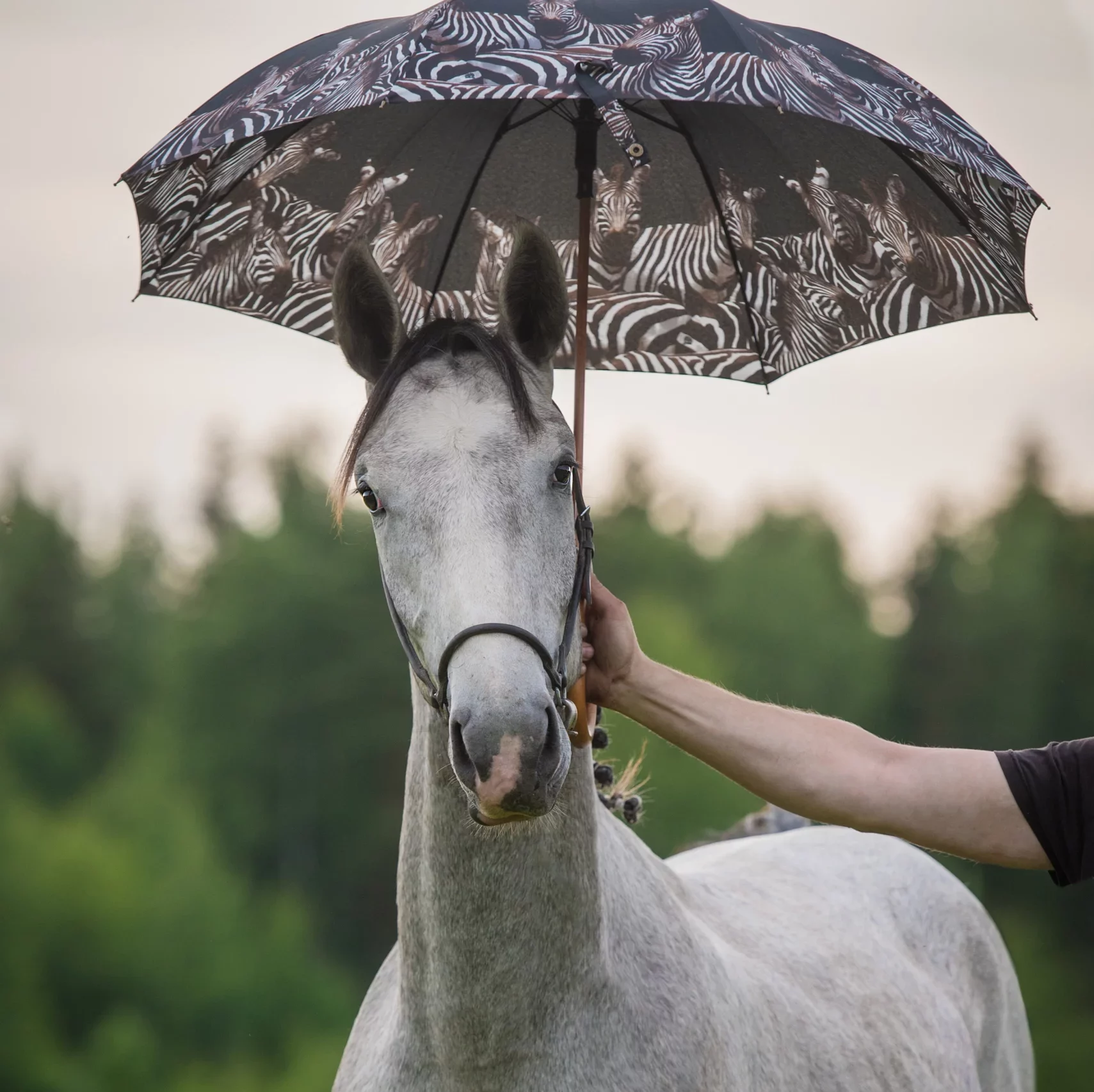 Too hot, too cold, too dry, too wet extreme weather also places a