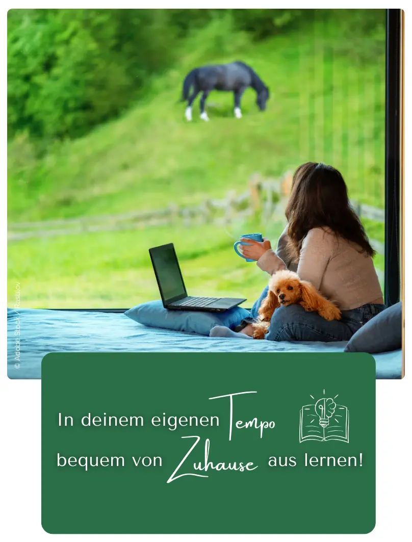 In deinem eigenen Tempo bequem von Zuhause aus lernen!