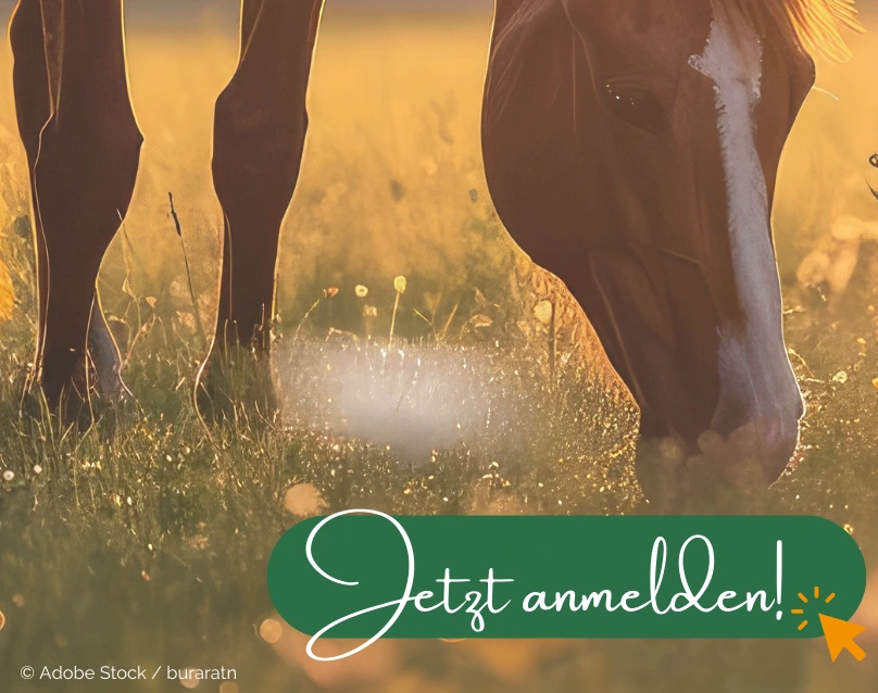 Jetzt anmelden.
