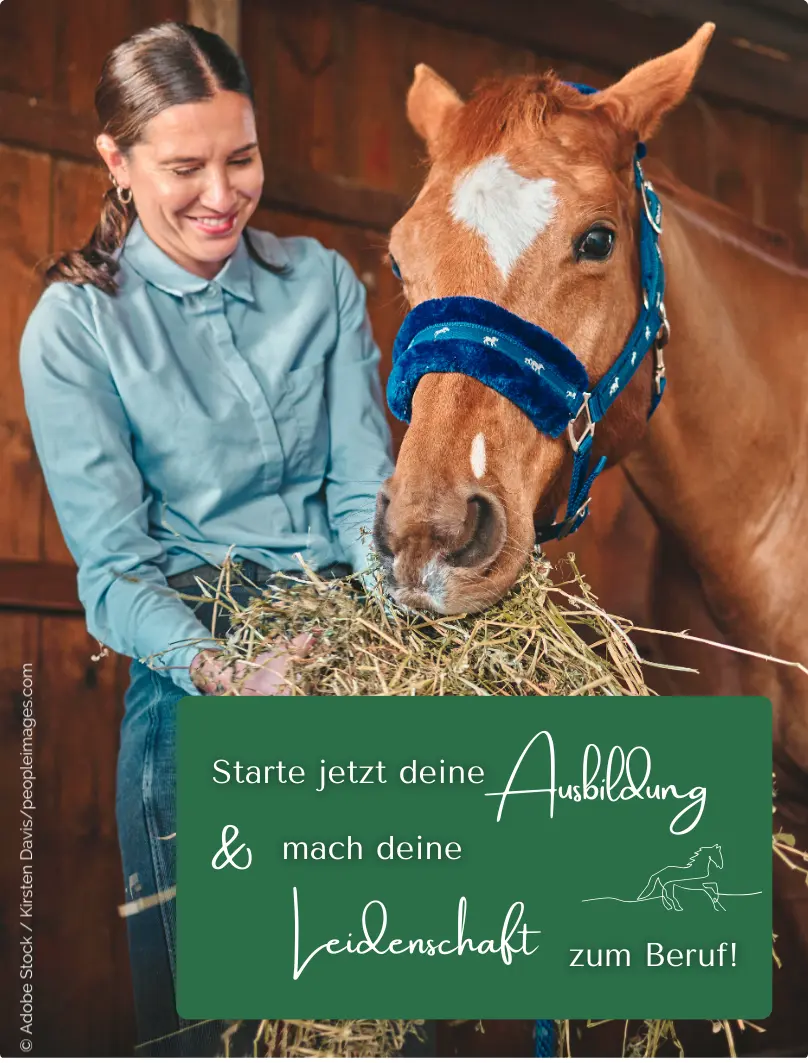 Starte jetzt deine Ausbildung und mach deine Leidenschaft zum Beruf!