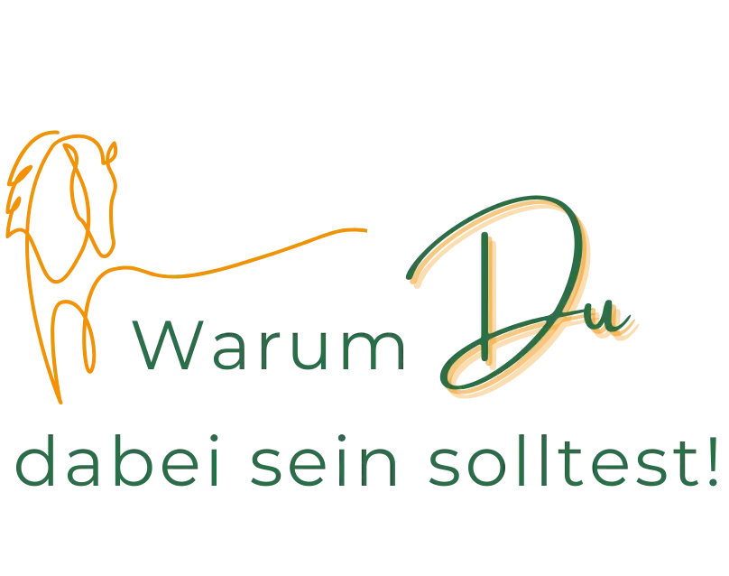 Warum Du dabei sein solltest!