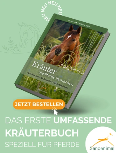 Amazon Link: Buch Kräuter, die Pferde fit machen