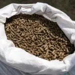 Analytische Bestandteile verstehen: Was Protein, Fett & Co. über dein Pferdefutter verraten