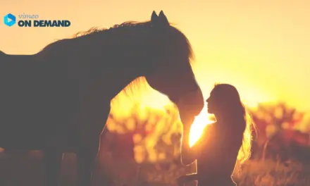 GEBALLTES WISSEN #41 Tierkommunikation mit Pferden