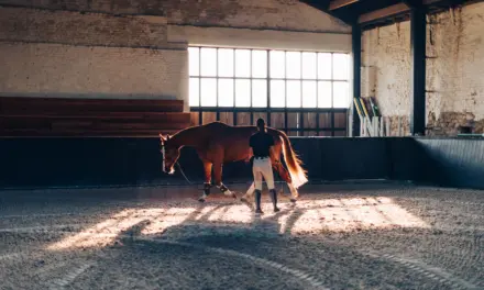 Persönlicher Raum und Grenzen setzen