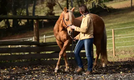 Sicherheit in der Bodenarbeit: Gefahren erkennen