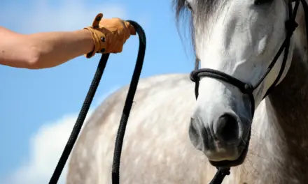 Aufmerksamkeit gewinnen und halten