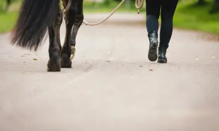 Führpositionen und ihre Bedeutung – Wo stehe ich wann und warum?