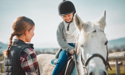 Guter Reitunterricht für Kinder – Worauf Eltern achten sollten