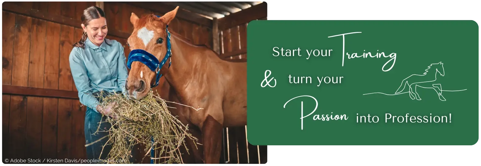 Start your training & turn your passion into profession