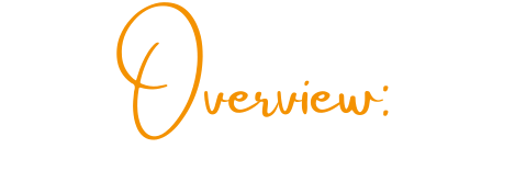 Overview