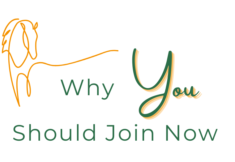 Why you should join now