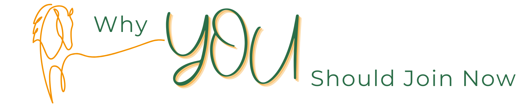 Why you should join now